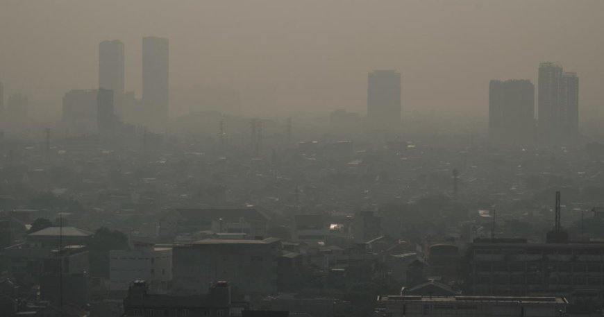 Dirty air biggest external threat to human health, study finds