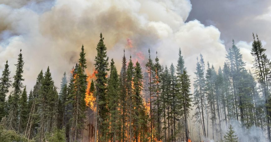 Climate change contributed to Canada's extreme wildfires, report says