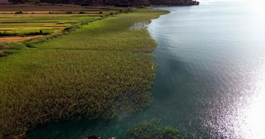 Scientists uncover 8,000-year-old village underwater, find "treasure trove"