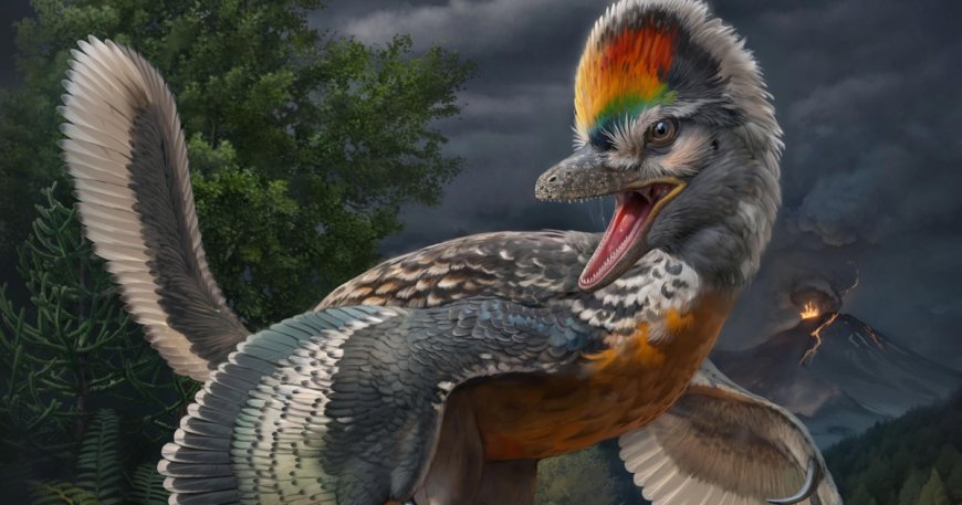 Fossil of a bird-like dinosaur could advance evolution understanding