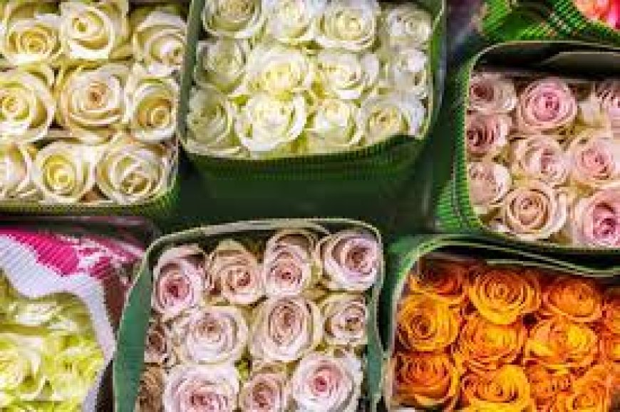 What strategies can I use to locate international buyers interested in purchasing flowers for export to Australia?
