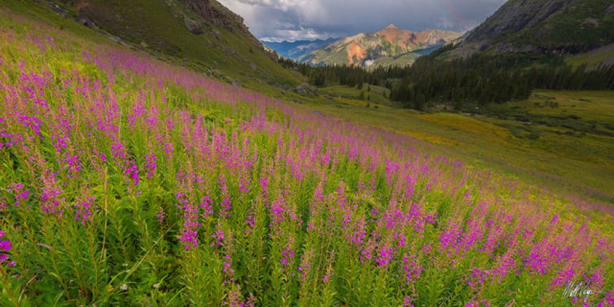 Discovering the Best Places to Visit in Colorado