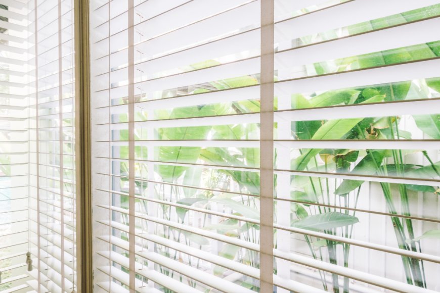 Transform Your Space: 7 Reasons Why Interior Blinds Are a Must-Have for Every Home