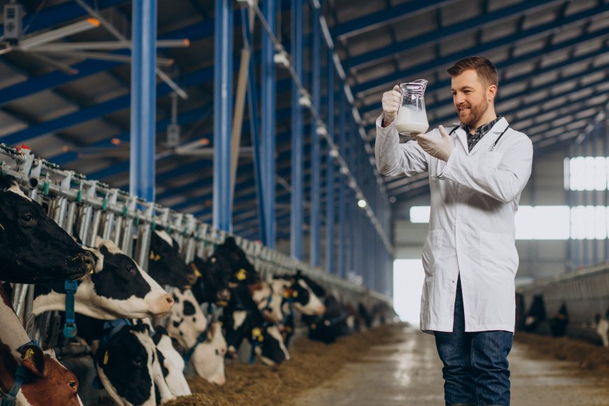 Unlocking the Future of Dairy Farming: Top 3 Game-Changing Precision Technologies