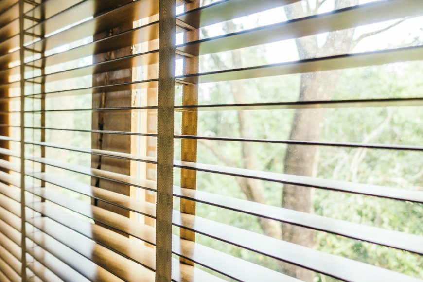 Why Are Blinds for Windows a Great Choice for Your Home