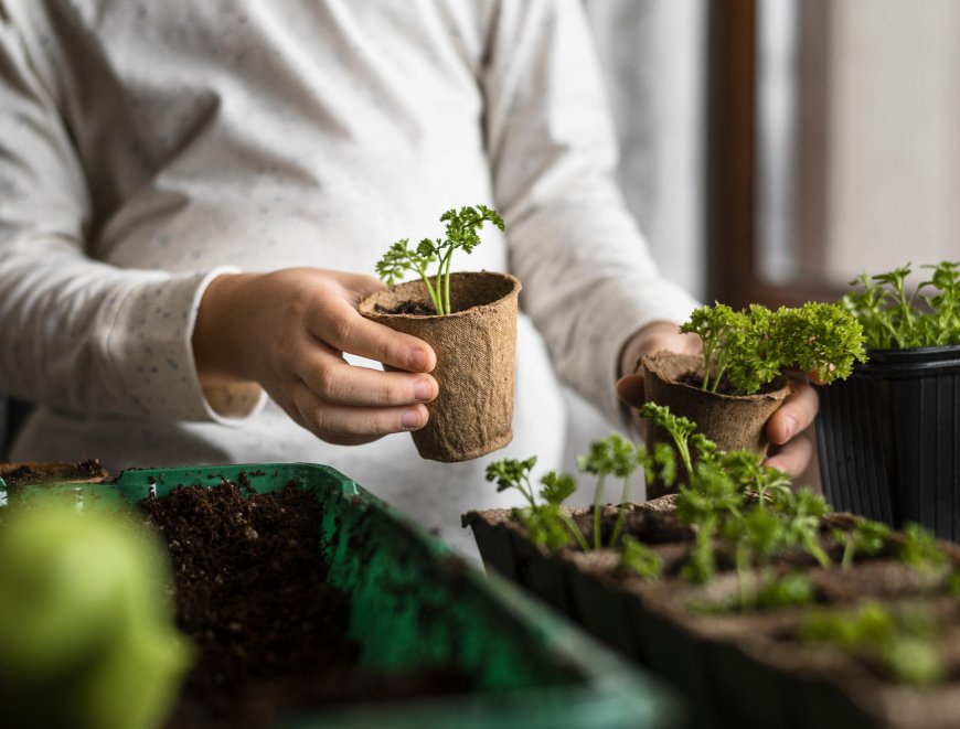 The Importance of Soil Health Products for Sustainable Agriculture