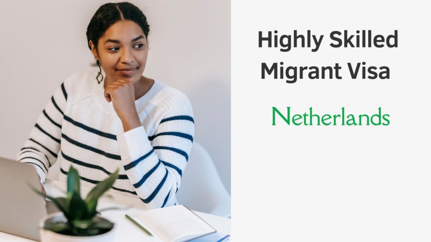 Highly Skilled Migrant Visa Requirements: Are You Eligible?