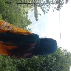 Noor